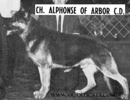 CH (US) Alphonse of Arbor