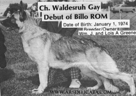 CH (US) Waldesruh Gay Debut v Billo