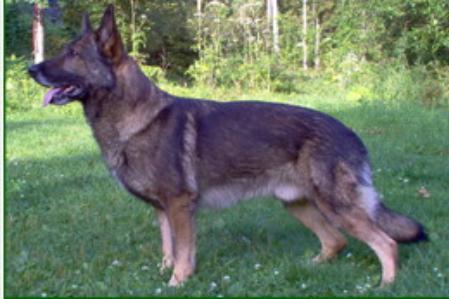 G Galevala Lempo Just