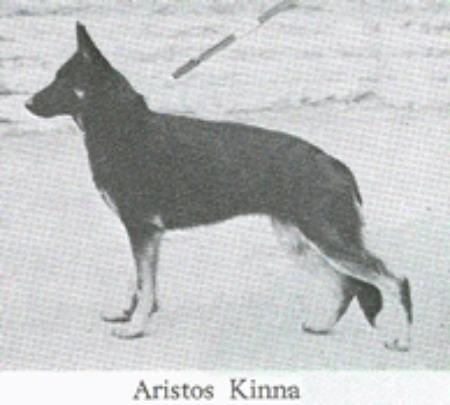 KORAD SBCH Aristos Kinna