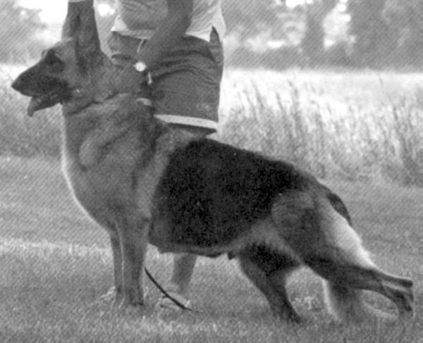 Lee Ray's Brandy of Marlin