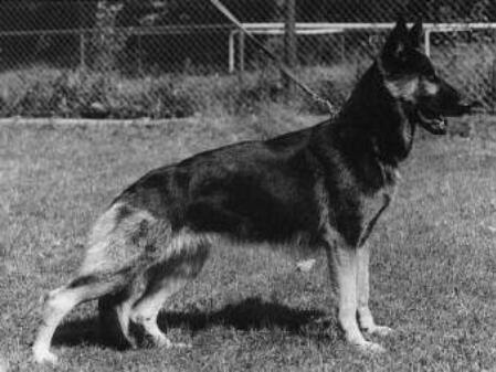 SG Britta z knihovskeho udoli
