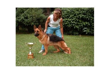 SG3 Zira do Vento Simun