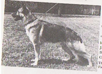 Rebell vom Fiemereck