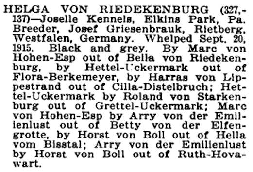 CH (AKC) Helga von Riedekenburg