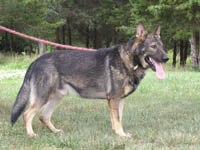 Quanto vom Lorcolhof