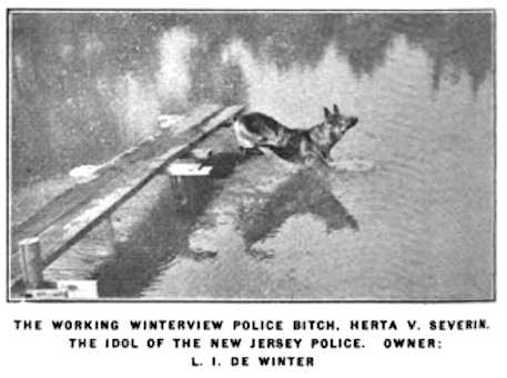 Herta von Severin (Winterview)