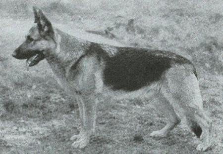 Gella Von Der Stellerburg
