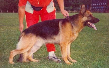 Zamb v. Klebinger Schlos