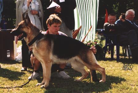 V2 RUS Radonezh Florencija