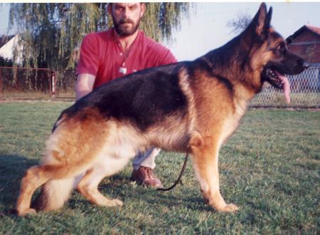 Grant von Mons Claudius