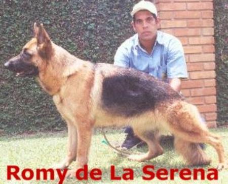 Romy de La Serena