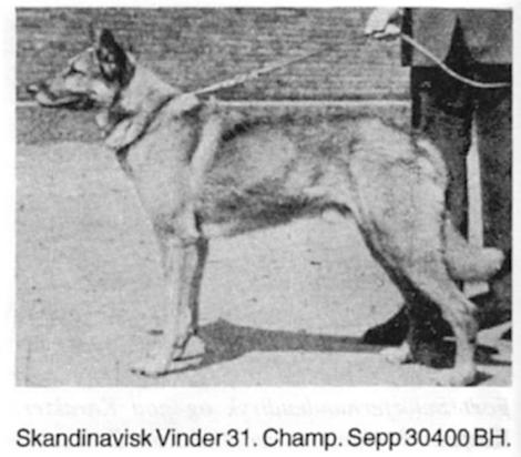 S/N CH BRCH Sepp DK30400