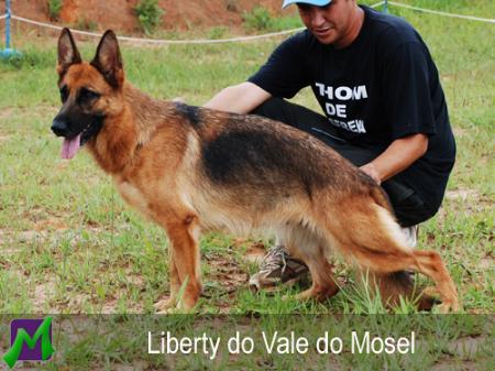 Liberty do Vale do Mosel