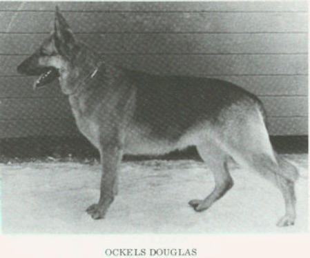 Ockels Douglas