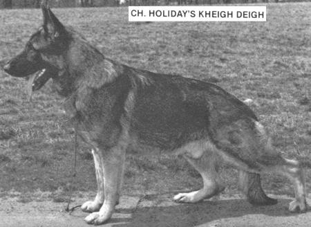 CH (US) Holiday's Kheigh Deigh