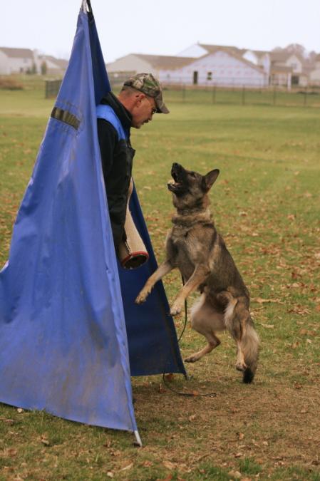 SG Flower vom Zuchtgut