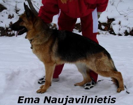 LV CH,LT CH Ema Naujavilnietis