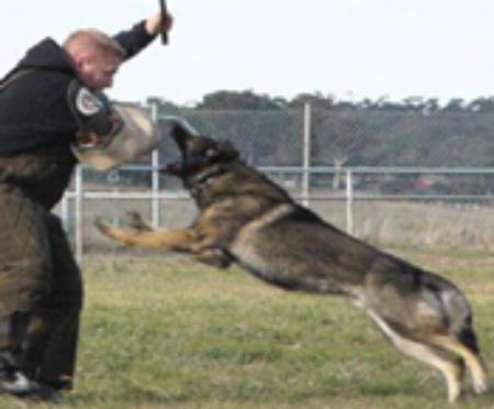 Vick 't Palmaleinehof