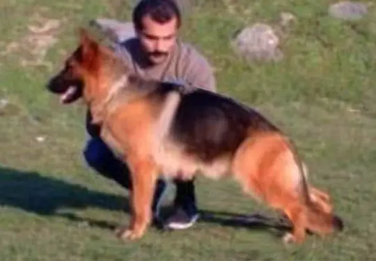 V bessy von haus selia