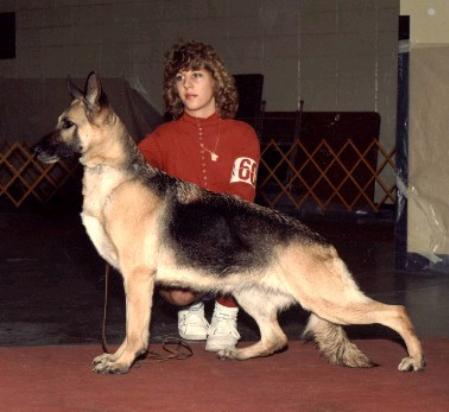 ROM (US) Bestest of Edan