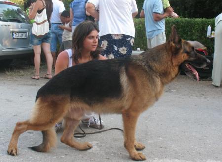 RCH-BGCH Tano V Haus Mofli