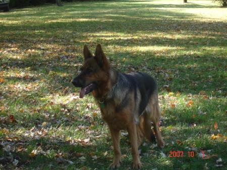 Amethyst Von Hausmeyer