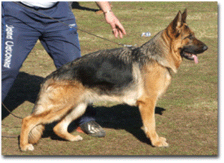 V1 Fenja di Casa Cacozza