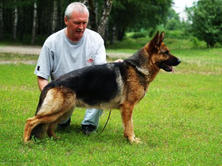 2XCAC RES.CACIB Eska Oger Schloss