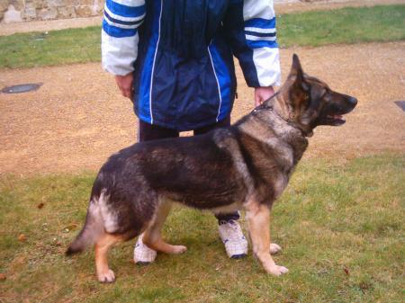 Adrie vom Bibelenfeld