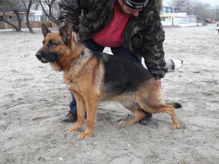 RPJ-2CAC Yagra v haus Mofli