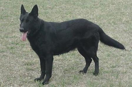 Xena Von Boorman Haus