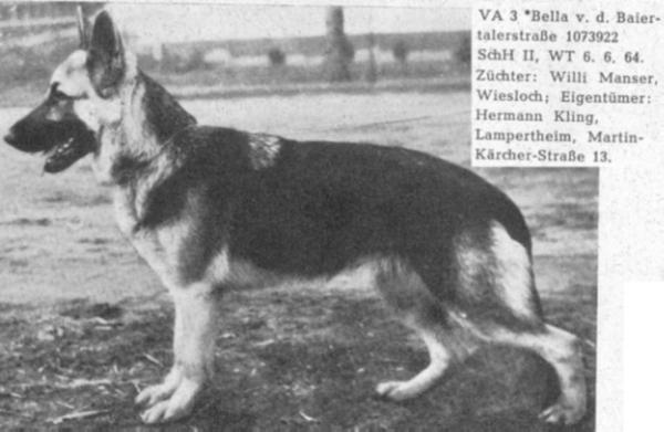VA3 Bella von der Baiertalerstraße