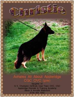 Achates All About Appleridge