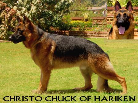 Christo Chuck of Hariken