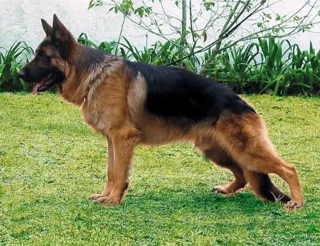 V3 (ECU) Cafu del Olimpo