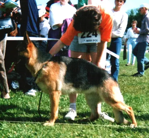 Lakesland Attika
