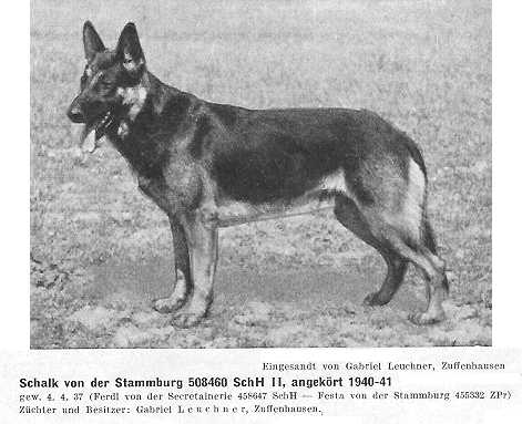 Schalk von der Stammburg