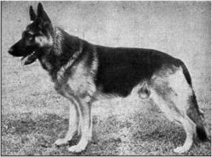 VA2 Bursche vom Pfingsthügel