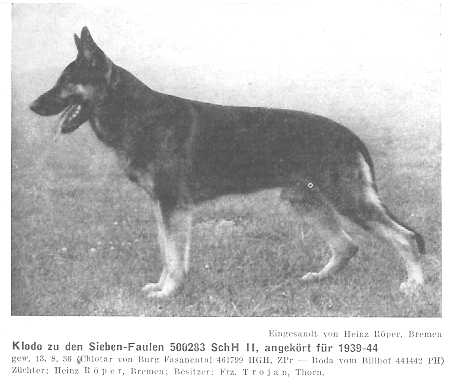 Klodo zu den Sieben-Faulen