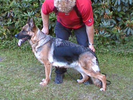 V Yola von Sebaldsbruck