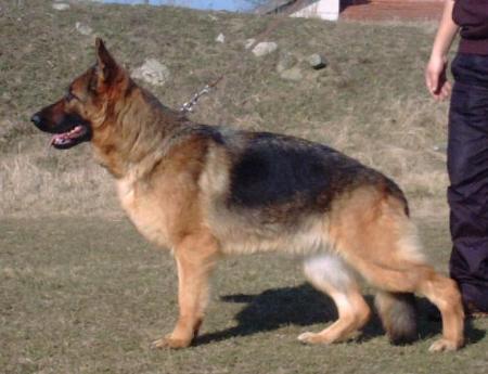 malta vom haus selia