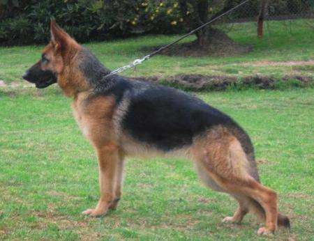 SG JHKL(COL) Hope de Santa Mónica