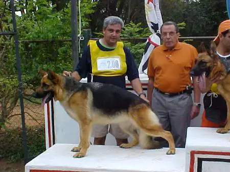 V Gal I de Dois Pinheiros