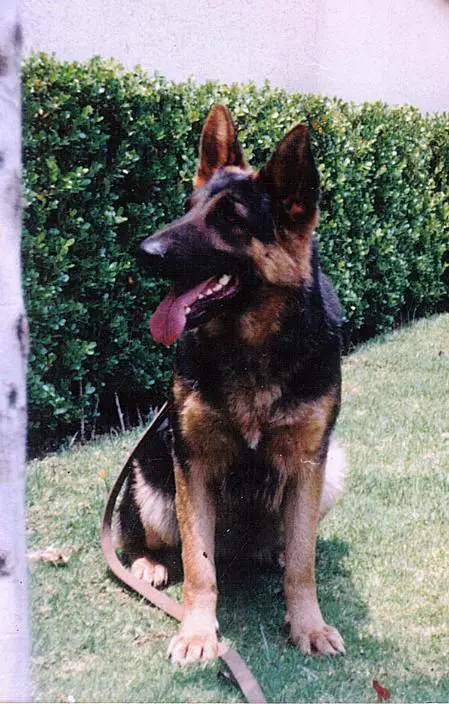 Roca von Aris