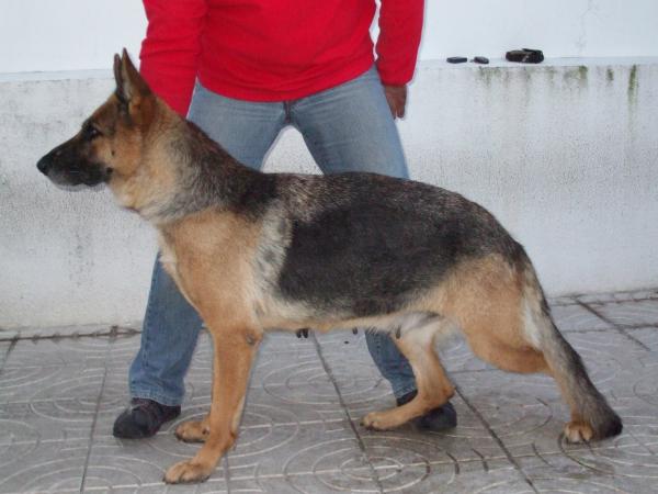 Kristal da Baia do Estoril