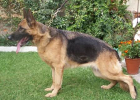 Brisa Aus Tafel Land