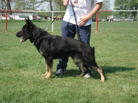 G Barras von der dunklen Eiche