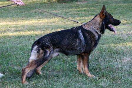 Tytus Van Den Heuvel