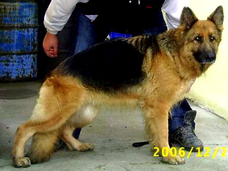 :SG1: Guard Jola